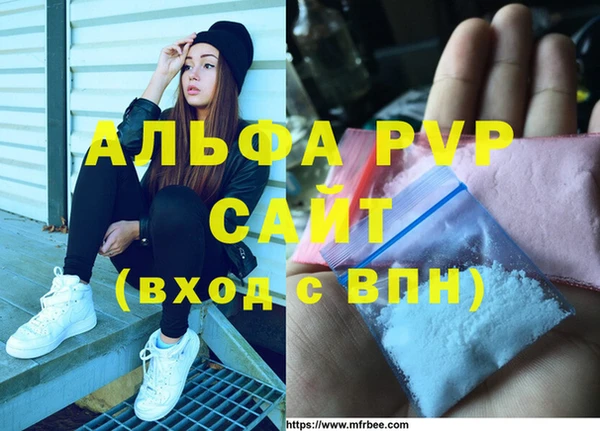 СК Краснослободск