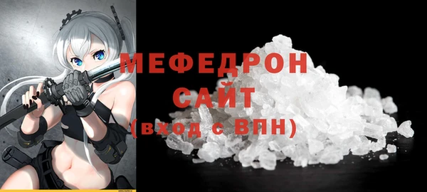 индика Заводоуковск