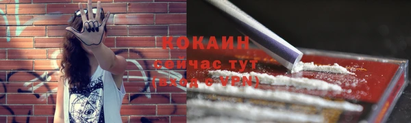 сатива Абаза