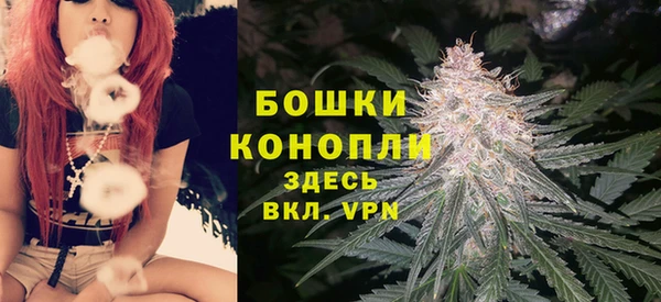шишки Красноперекопск