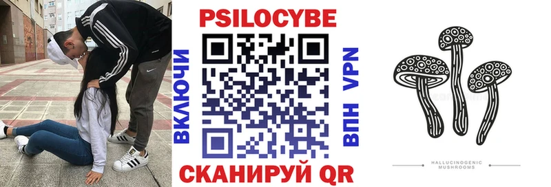 Псилоцибиновые грибы ЛСД  Александровск-Сахалинский 
